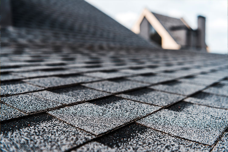 Roof Repair and Replacement Services in Lake Travis Texas