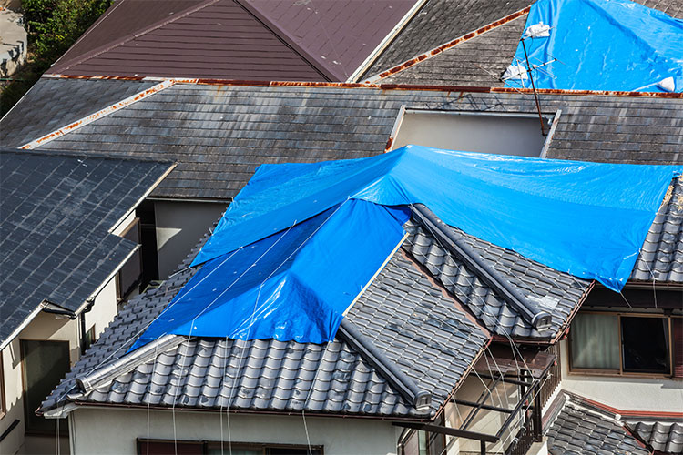 Storm Damage Services in Lake Travis Texas